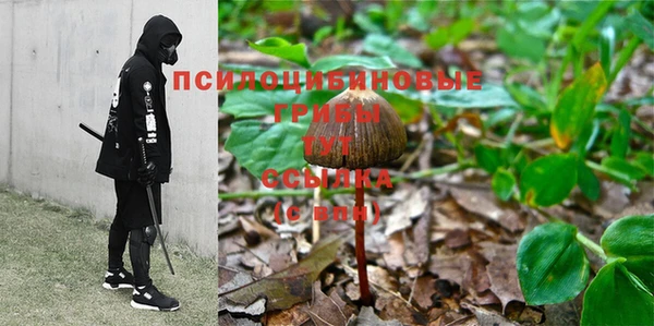 первитин Абаза