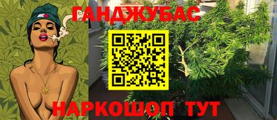 apvp Владикавказ